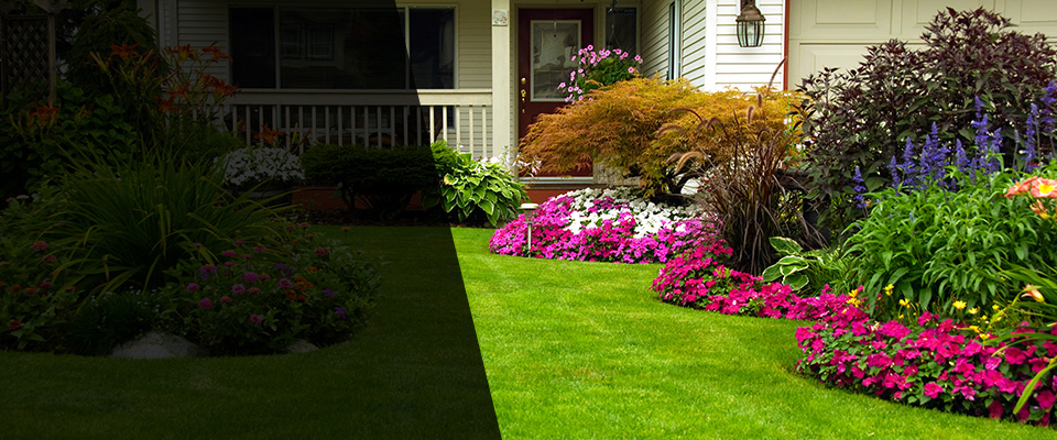 Timberlake Landscapers