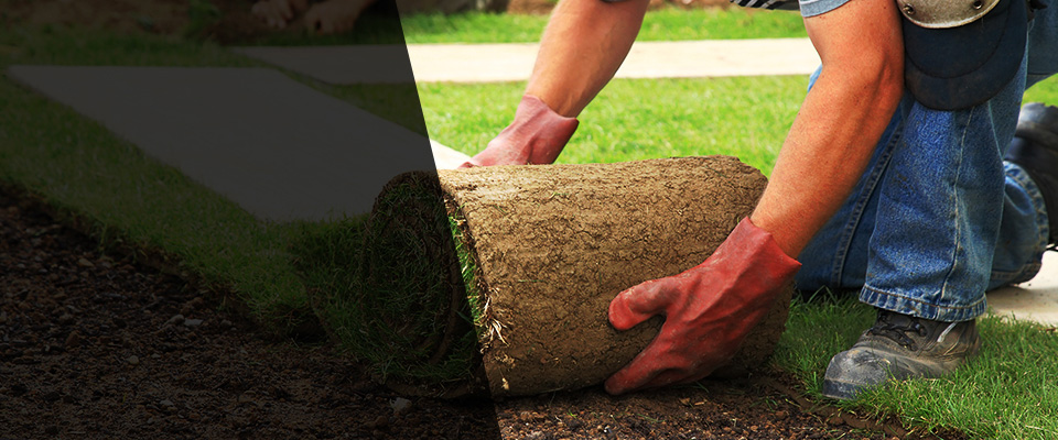 Timberlake Landscapers
